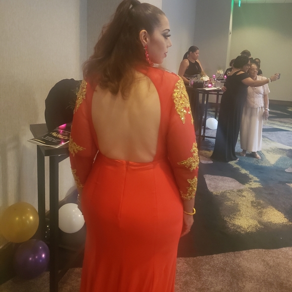 Size 14 long Sleeve Gown - Picture 2 of 2